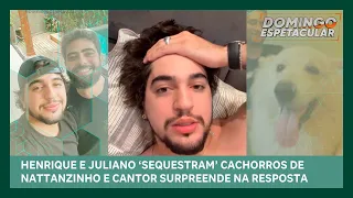 Henrique e Juliano ‘sequestram’ cachorros de Nattanzinho e gera polêmica | Domingo Espetacular