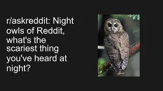 r/askreddit: Night owls of Reddit, what's the scariest thing you've heard at night?