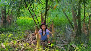 Bamboo shoot harvesting, cooking, rural life,Poor girl