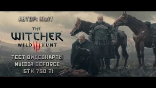 The Witcher 3 |Тест Видеокарты NVIDIA GeForce GTX 750Ti (ASUS) | [ A8-6600K ; RAM 8 GB]