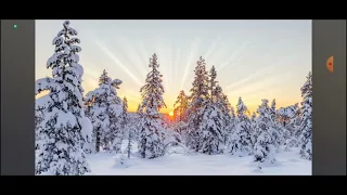 Про папу от дочки - Елена Веснова