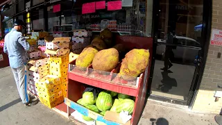 ⁴ᴷ⁶⁰ Walking NYC (Narrated) : Jackson Heights, Queens (Little India, Little Tibet, Little Colombia)