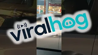 Woman Caught Excitedly Dancing in Car || ViralHog