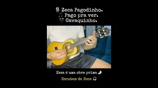 PAGO PRA VER - ZECA PAGODINHO (CAVAQUINHO)