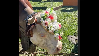 Deveteya Festival Cogne Italy