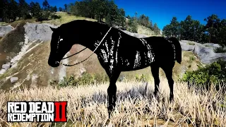 O PURO SANGUE ÁRABE MAIS RARO DE TODO RED DEAD REDEMPTION 2