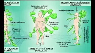 Энергетические паразиты вокруг нас. Вот как защитить себя о них