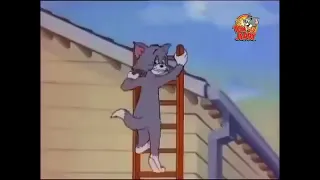 Том и Джерри Все серии Tom and Jerry /Мультики для малышей