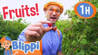 Blippi Visits a Raspberry Factory | 1 HOUR BEST OF BLIPPI | Blippi Toys: Educational Videos for Kids