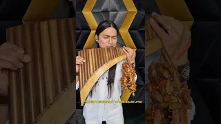 Can't Help Falling In Love  #amazing  #panflute #music #elvispresley #love