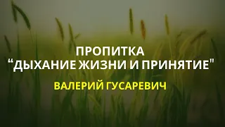 Пропитка «Дыхание жизни и принятие». Валерий Гусаревич