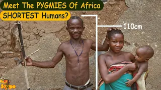 Discover the African Pygmies | Shortest humans in the world