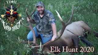 Elk hunt in Texas