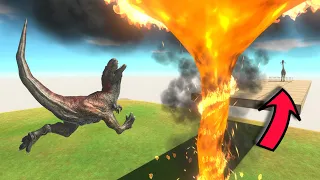 Jump Over Fire Tornado | Who Can Survive? - Animal Revolt Battle Simulator