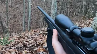 DEER RIFLE OPENER in WEST VIRGINIA! (Deer Drives) (Public Land)