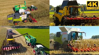 Maisdreschen 2022 mit Claas Trion 730 und New Holland CR8.80 I LU Kruse I 4k