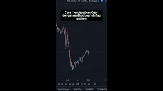 CARA ENTRY BEARISH FLAG PATTERN PART 1