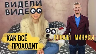 Видели Видео как проходит передача | Как собака ведет себе перед камерами