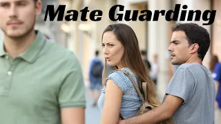 How To Handle Jealousy As a Man - Mate Guarding