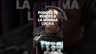 Mike Tyson nos habla sobre la disciplina. 👊🏽 #disciplina #decision #sihaydeotra #inspiracion