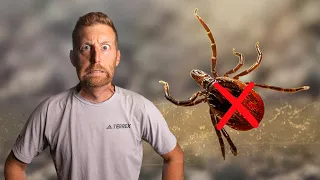 Tick Safety - How To Avoid Ticks While Hiking