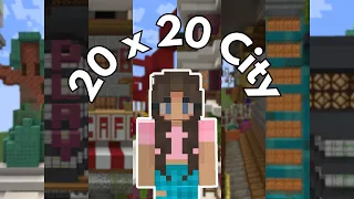 I built a 20 x 20 City in Minecraft!! || Minecraft Challenges