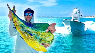 Mahi CANT Resist this BAIT! | Catch Clean Cook