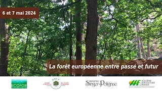 LA FORÊT EUROPÉENNE : ENTRE PASSÉ ET FUTUR - Session 2 : TRANSFORMATIONS, Table ronde