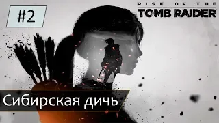 Прохождение Rise of the Tomb Raider (2015) /PS4/ ➤ Сибирская дичь [#2] {4K}