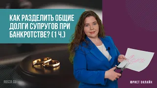 Как разделить общие долги супругов при банкротстве? (1 ч.)