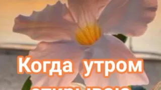 КОГДА УТРОМ ОТКРЫВАЮ ГЛАЗА🌺Христианская песня🌺 Ксения Лапицкая.