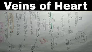 Heart Venous Drainage | Part 3 | Small, Middle and Great Cardiac Vein | TCML