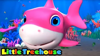 Cá mập con | Nhạc thiếu nhi | Vần điệu trẻ | Little Treehouse Vietnam | Hoạt Hình