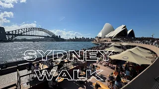 Sydney walk｜Sydney Harbour Bridge｜Royal Botanic Garden｜Harbour Bridge｜Hyde Park｜St. Mary's Cathedral