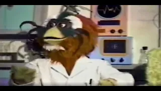 The Macarena - New Rock-afire Explosion - TiVo Video