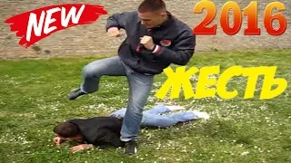 Brutal Street Fights best fight the 2016  Жестокие Уличные Драки  лучшая драка 2016