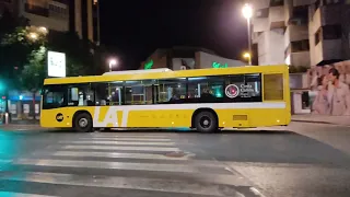 Autobuses en Murcia: Plaza Circular/Av. Constitución