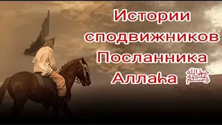 Истории Сподвижников Посланника Аллаха " Ар-Рабия ибн Зияд аль Хариси"