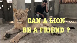 Unbelievable Friendship | People & Wild Animals | Azlan Shah .