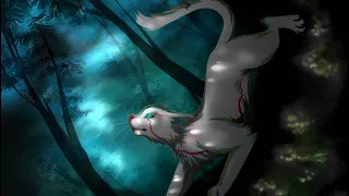 Top 10 Warrior Cats Who Deserved To Go To StarClan