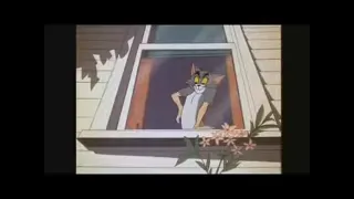 Tom and Jerry(van beuren studios) - Wot a Night