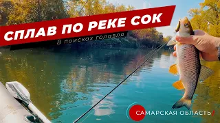 Сплав по реке Сок (Самарская область) в поисках голавля