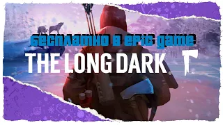 The Long Dark - Бесплатно всего один день в EPIC GAME