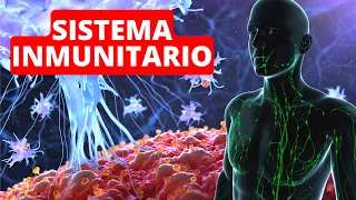 El SISTEMA INMUNITARIO explicado: partes, funciones, inmunidad, células inmunitarias, enfermedades