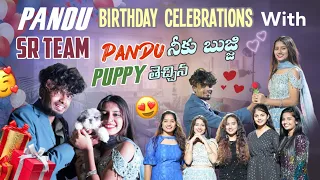 Pandu birthday celebrations||puppy టెచా||mrajayofficial||full entertainment