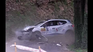 24° Rally Valli Cuneesi 2018 | BIG CRASH & MISTAKES [HD]