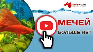 ПОЧЕМУ Я ИЗБАВИЛСЯ ОТ МЕЧЕНОСЦЕВ