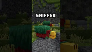 🏵️Datos del Sniffer y como conseguirlos 1.20 #minecraft