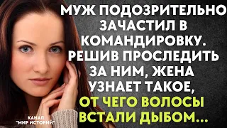 Муж зачастил в командировку. Решив проследить за ним, жена узнает такое, от чего волосы встали дыбом