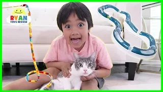 Testing Cat Gadgets and toys on our Cat!!